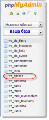 wp_options